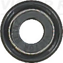 Seal Ring, valve stem